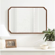 a mirror sitting on top of a white shelf next to a potted plant