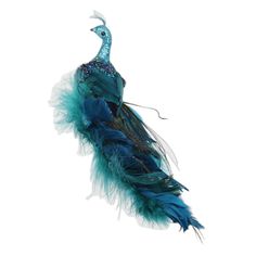 a blue bird with feathers on it's back