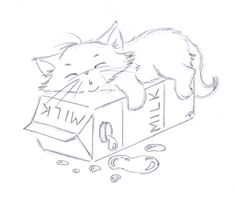 a drawing of a cat sleeping in a box with the word witk written on it