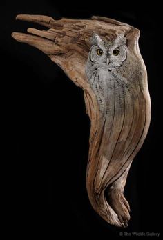 an owl is perched on top of a piece of driftwood that has been carved into the shape of a tree trunk