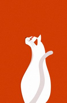 a white cat on an orange background