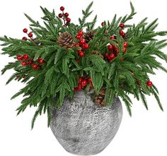 a potted plant with red berries and pine cones on it's top is shown