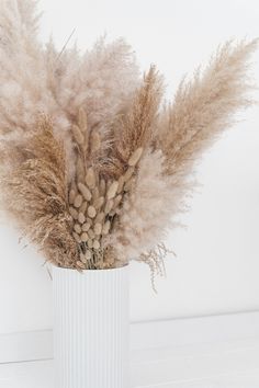 some dry grass in a white vase on a table with a white wall behind it