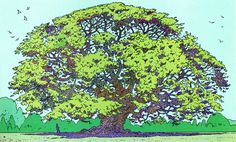 an illustration of a large tree with lots of leaves