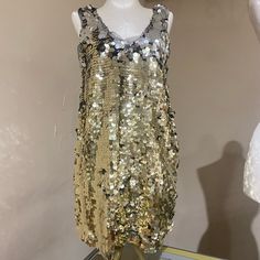 Zara New With Tags!!! Sparkly Gold And Silver Disc Dress, Changes Color When You Brush Your Hand On The Sequins. Soft Black Chiffon Trim Around The Neckline. Size Medium, Fits As A Sleeveless Top, If You’re Really Tiny It Could Fit As A Minidress 22” Long Gold Sequin Dress For Summer, Champagne Shimmer Summer Dress, Summer Champagne Shimmer Dress, Gold Sparkling Sleeveless Sequin Dress, Gold Sparkling Dresses For Festive Occasions, Festive Gold Sparkling Dress, Gold Sequined Mini Dress For Holiday Party, Chic Gold Sequin Summer Dress, Gold Embellished Sequin Dress