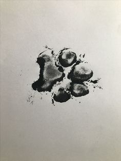 a black and white photo of four apples on a table top with ink splatters