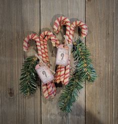 some candy canes are hanging on a wooden wall with pine branches and cones around them