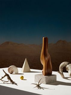 an assortment of sculptures sitting on top of a white table with mountains in the background