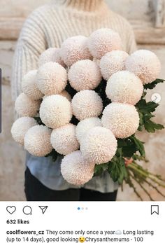 a person holding a bunch of white flowers in their hands, with the caption instagram