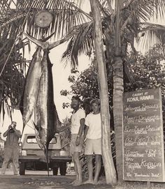 two men standing next to a large fish on a tree lined street with palm trees