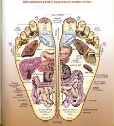 Reflexology Foot Chart, Shiatsu Massage Acupressure, Acupuncture Benefits, Foot Reflexology Massage, Acupressure Therapy, Hand Reflexology, Reflexology Chart, Reflexology Massage, Foot Reflexology