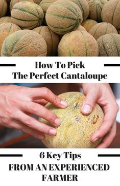 Patisserie, Tartiflette Recipe, Fruit Hacks, Canteloupe, Amazing Food Hacks, Fruit Picking, Cut Watermelon, Ripe Fruit