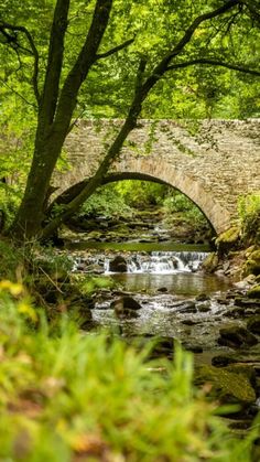 A low stone bridge over a river with a small waterfall in and Ireland forest Irish Aesthetic, Killarney National Park, Beautiful Ireland, Ireland Pictures, Images Of Ireland, Kerry Ireland