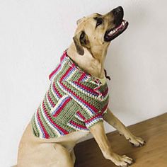 a dog wearing a sweater sitting on top of a wooden floor next to a wall