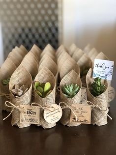 small succulents are wrapped in burlock and tied with twine