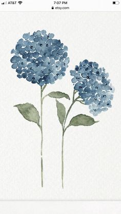 an image of blue flowers on a white background