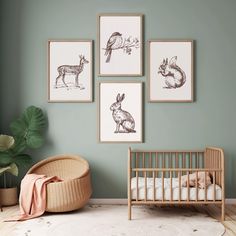 a baby's room with four framed pictures on the wall and a crib