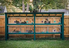 a large green cage filled with animals in it's back yard next to a wooden fence