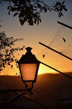 a street light sitting on top of a metal pole next to a tree at sunset