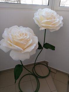 two white roses sitting on top of a tile floor next to a window in a room