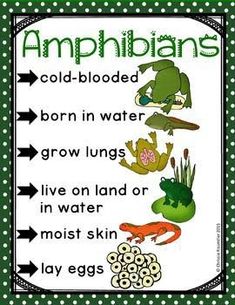 an amphibians poster with frog images