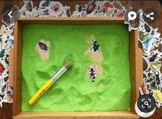 a wooden box filled with lots of green sand and a paintbrush in it's center