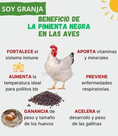 a poster with some food items on it and the caption in spanish above it