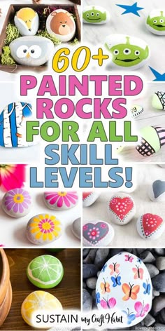 the cover of 60 painted rocks for all skill levels