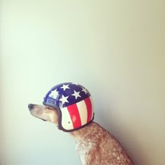 a dog wearing a helmet with the american flag painted on it's face and sitting against a wall