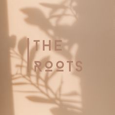 the roots logo is shown on a white wall with shadows from leaves and flowers behind it