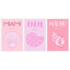 three pink posters with different types of seashells and words that read, miami beach