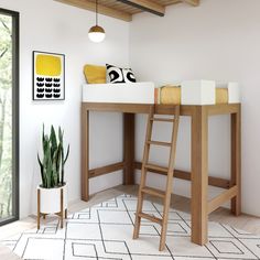 a loft bed with a desk and ladder in the corner next to a potted plant