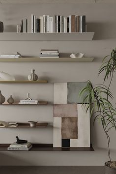 a shelf with books, vases and other items on it next to a potted plant