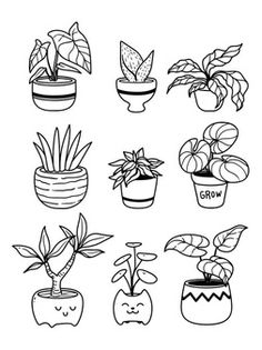 hand drawn potted plants on white background