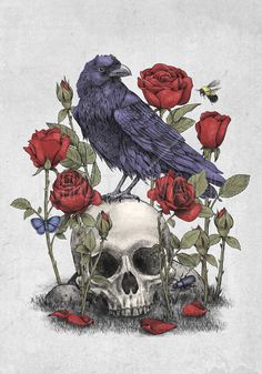 a crow sitting on top of a skull surrounded by roses