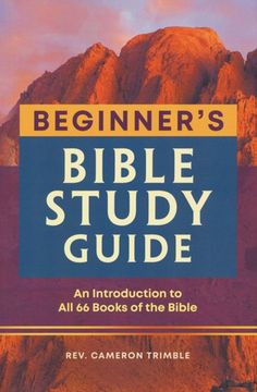 Beginner's Bible Study Guide: An Introduction to All 66 Books of the Bible 66 Books Of The Bible, Teen Bible Study, Bible Reflection, Bible Study Template, Book Of The Bible, Bible Studies For Beginners, Learn The Bible, Bible Study Books, Bible Study Plans