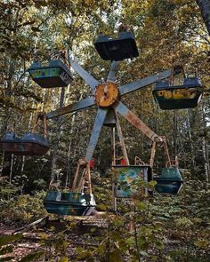 an amusement ride in the middle of a forest