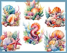 sea animals and corals are grouped together