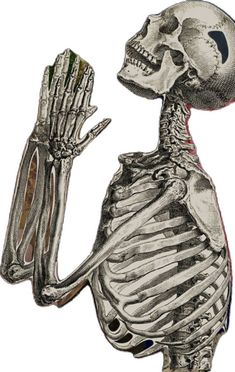 an image of a skeleton holding his hand up