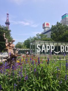 there is a sign that says sapp rose in front of some flowers and trees