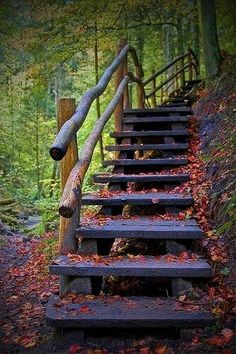 an old set of stairs in the woods