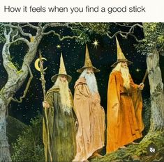 three wizard's standing next to each other in front of trees with the caption how it feels when you find a good stick