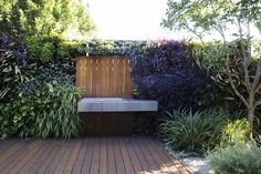 a wooden bench sitting in the middle of a garden