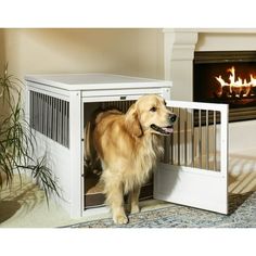 a dog standing in front of a fire place with its door open and it's head sticking out