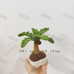 a hand holding a small crocheted palm tree