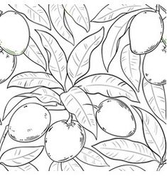 a drawing of some fruit on a tree branch with leaves and branches in the background