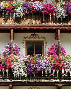 colorful flowers are growing on the balcony of a building with purple and white lettering in arabic