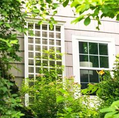 an open window in the side of a house surrounded by trees and bushes on a sunny day