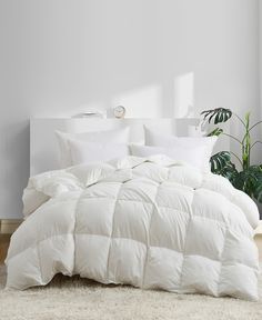 a bed with white comforter and pillows in a room next to a potted plant