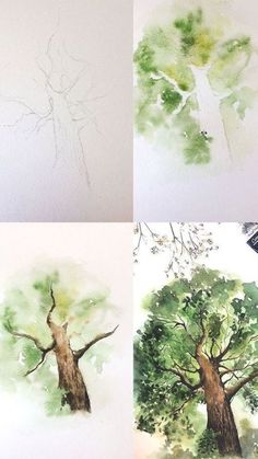 four different pictures of trees with green leaves